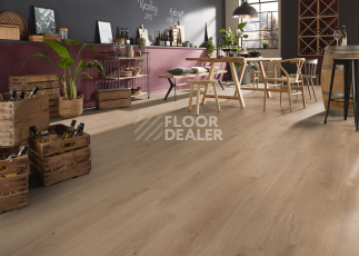 Kronotex Exquisit 8мм d89682 Дуб Мистраль бежевый фото 2 | FLOORDEALER